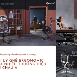 GHẾ ERGONOMIC
